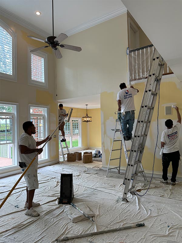 indian land house painters