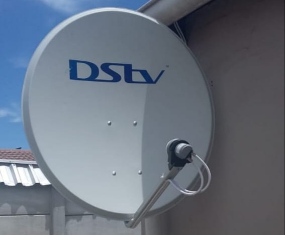 dish.jpg